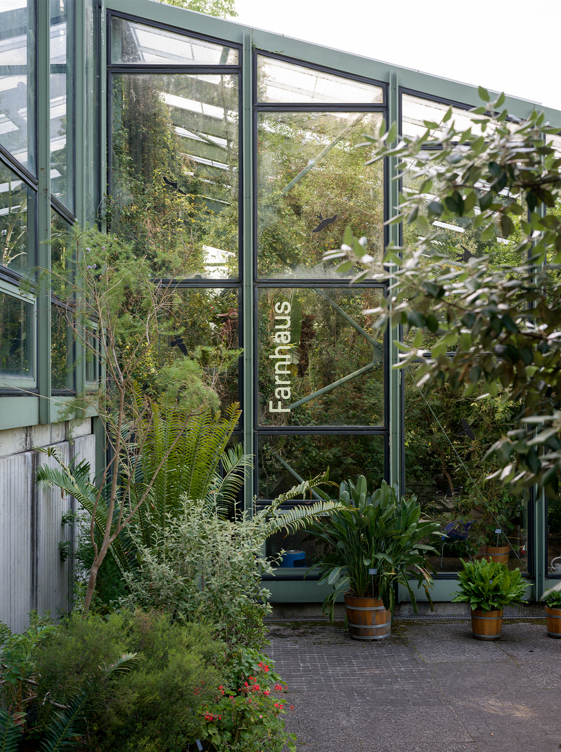 Eingangsbeschriftung Farnhaus im Botanischen Garten Bern 