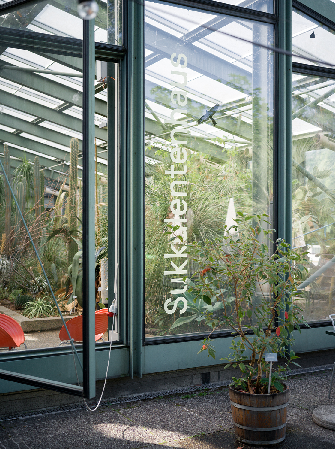 Eingangsbeschriftung Sukkulentenhaus im Botanischen Garten Bern 