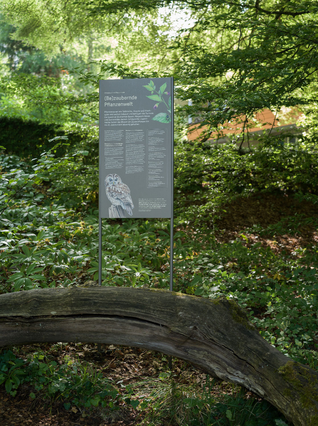 Botanischer Garten BOGA, Stele, Zaubernusswäldchen