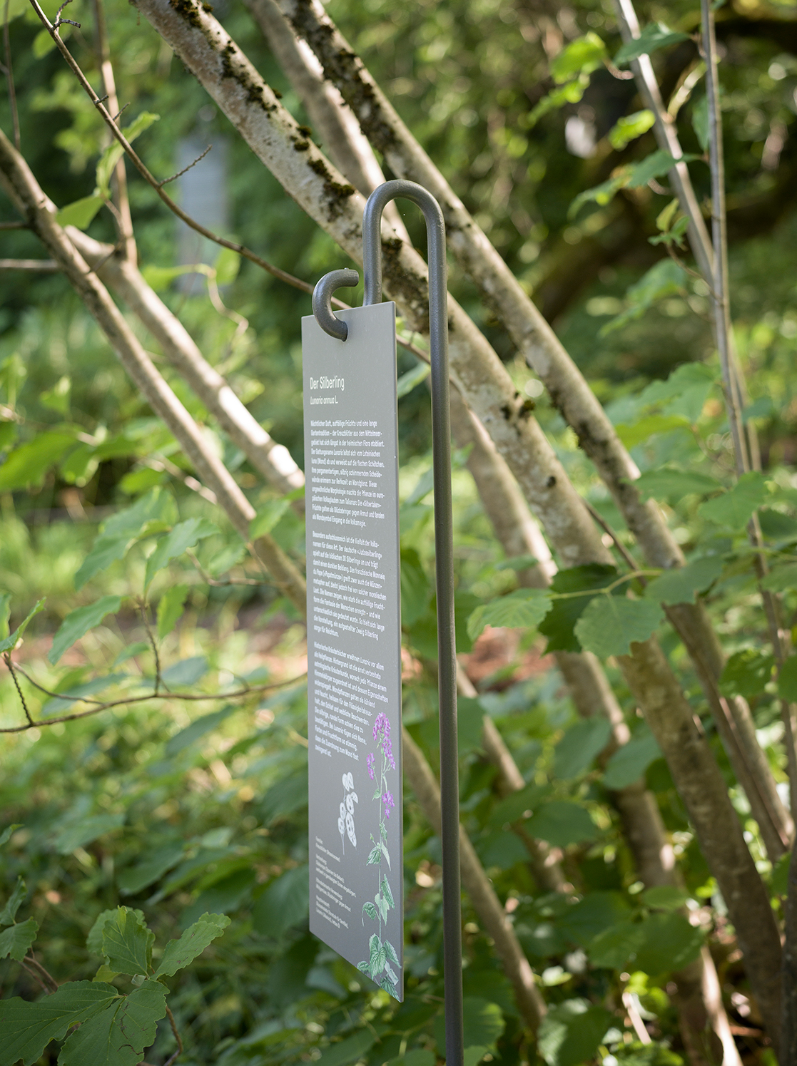 Botanischer Garten BOGA, Stelenkonstruktion, Zaubernusswäldchen